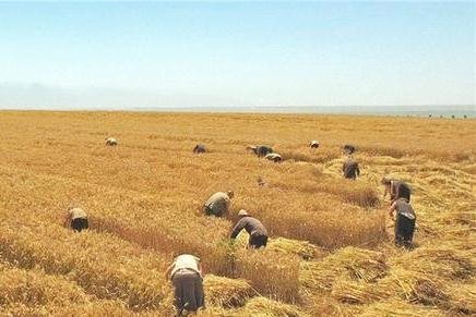 北方人为啥喜欢把父亲叫“大”？