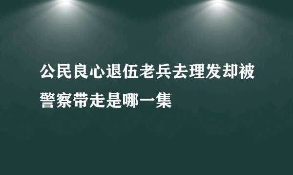 公民良心退伍老兵去理发却被警察带走是哪一集