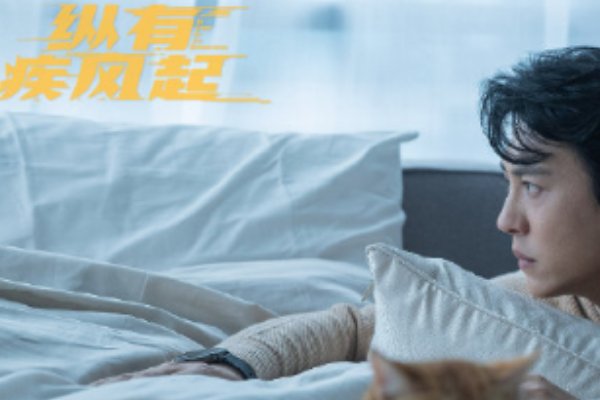 纵有疾风起更新多少集