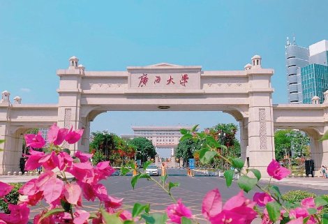 广西大学一女生坠楼身亡，事发的原因是什么？