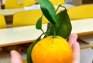 重庆6旬教授上课给全班学生带吃的，怎样看待老师这一举动？