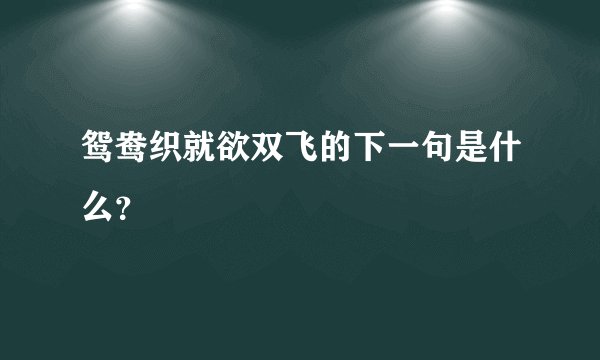 鸳鸯织就欲双飞的下一句是什么？
