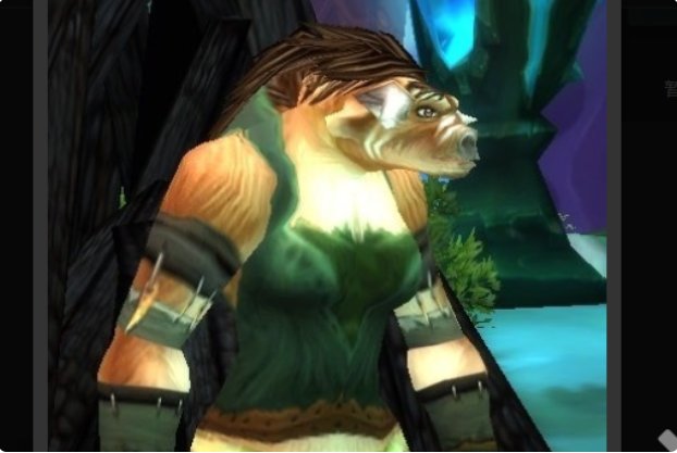 wow中的任务 [埃霍恩的碎片] 这任务谁知道在哪交