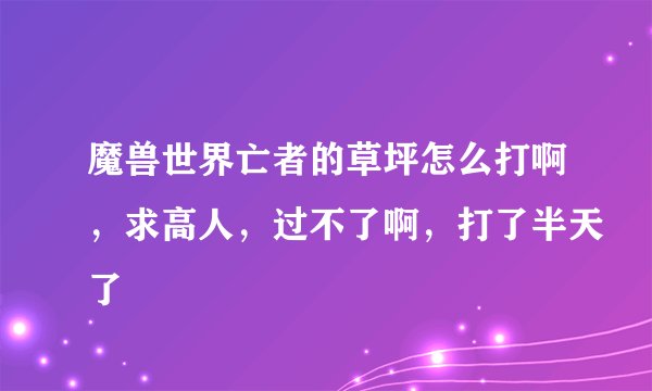 魔兽世界亡者的草坪怎么打啊，求高人，过不了啊，打了半天了