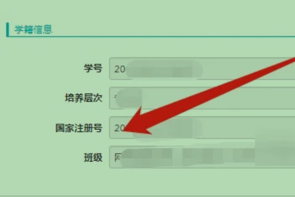 往届生注册学号怎么填