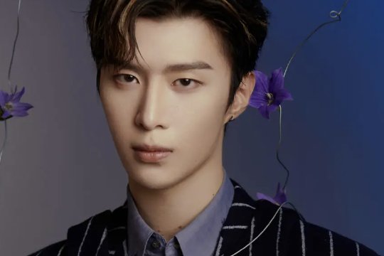 新四小天王是哪四个