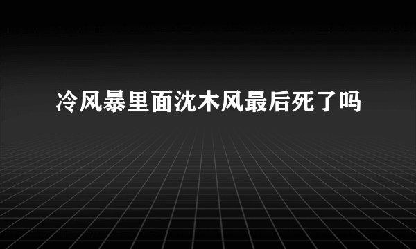 冷风暴里面沈木风最后死了吗