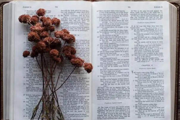 屏息的拼音怎么读