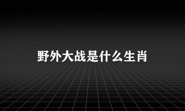 野外大战是什么生肖