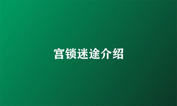 宫锁迷途介绍