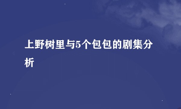 上野树里与5个包包的剧集分析