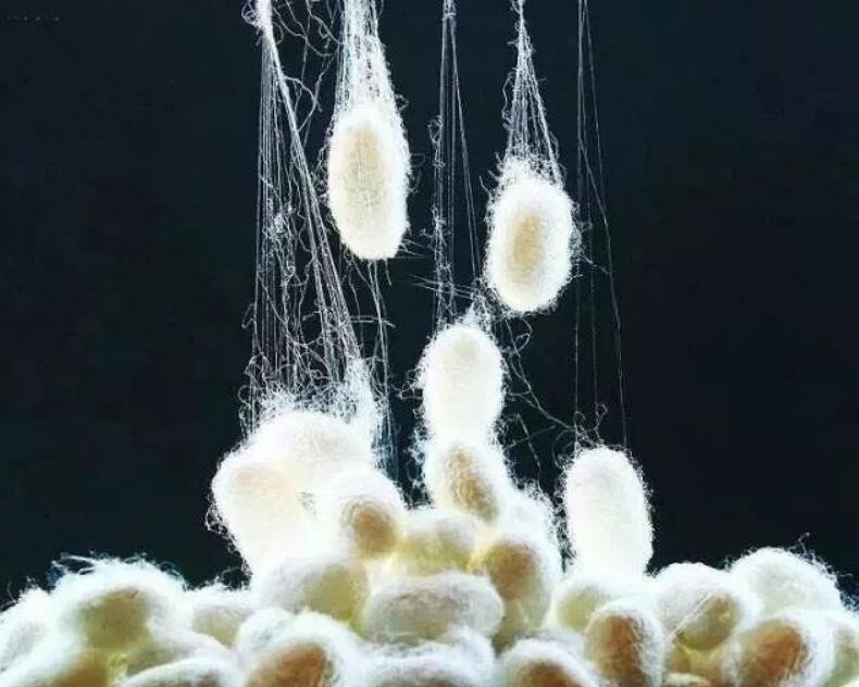 抽丝剥茧的意思解释