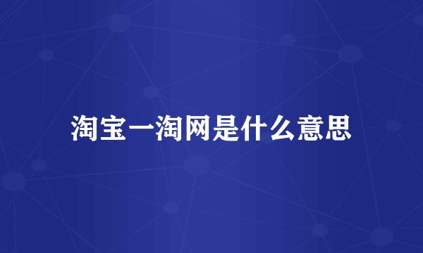 淘宝一淘网是什么意思