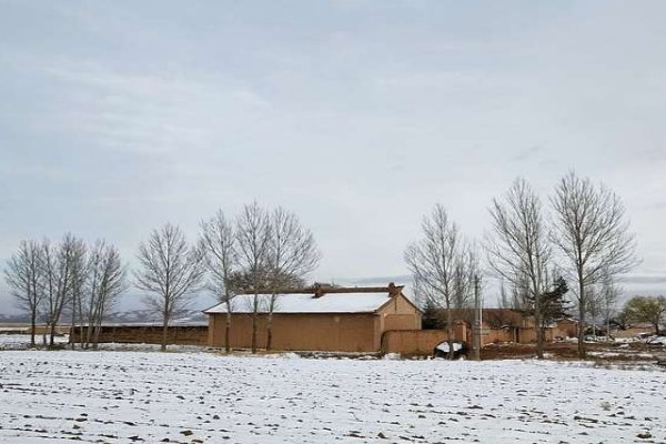 故乡的情,故乡的雪