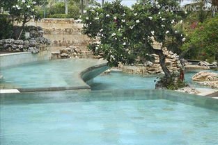 猜字谜有水能养鱼虾