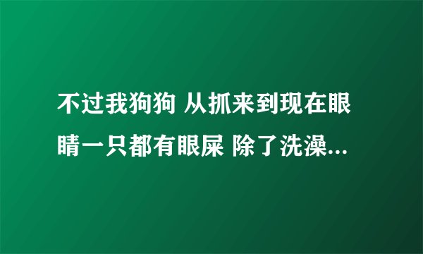 不过我狗狗 从抓来到现在眼睛一只都有眼屎 除了洗澡那一会没有 没多久就又粘在那边了. 那人说是火气大