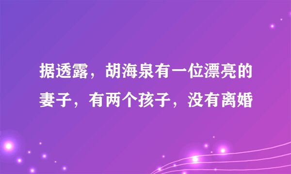 据透露,胡海泉有一位漂亮的妻子,有两个孩子,没有离婚