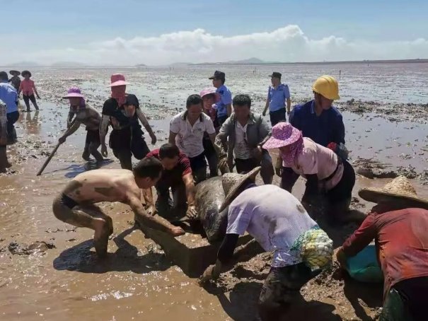 头门港涨潮退潮时间表