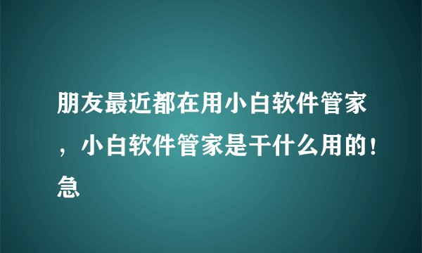 朋友最近都在用小白软件管家，小白软件管家是干什么用的！急