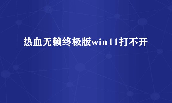 热血无赖终极版win11打不开