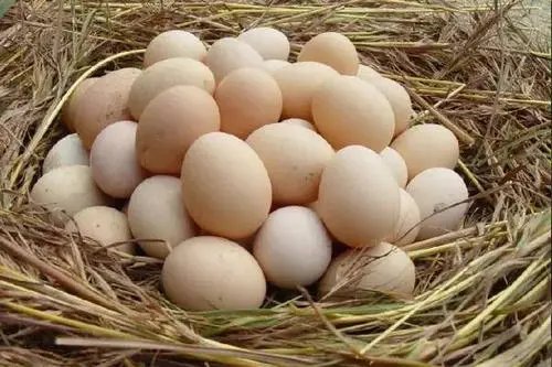 韩国鸡蛋价格暴涨四成，为什么会出现这种情况？