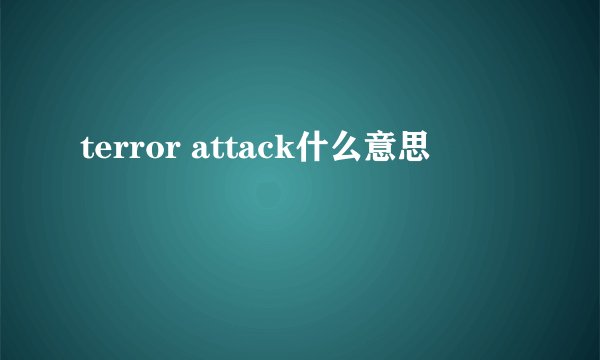 terror attack什么意思
