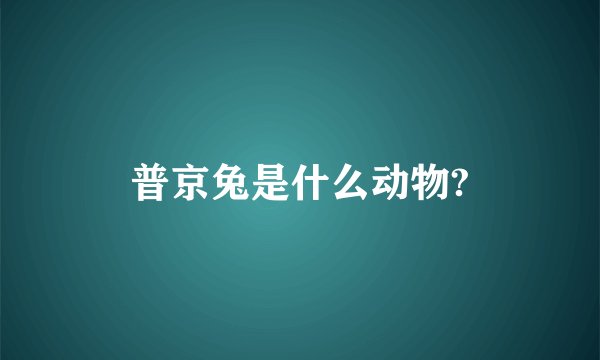 普京兔是什么动物?