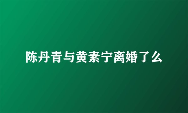 陈丹青与黄素宁离婚了么