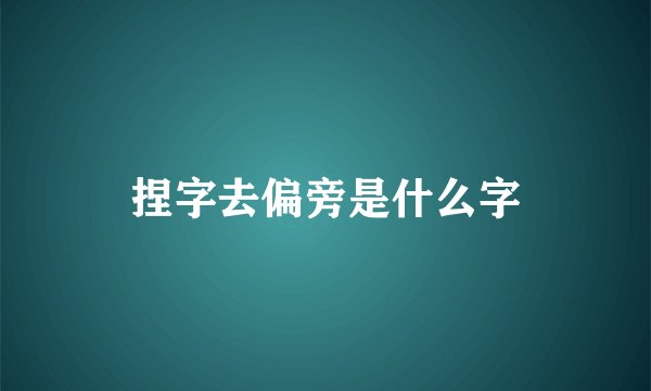 捏字去偏旁是什么字