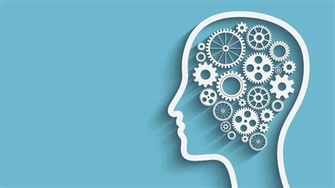 paragraph是什么意思