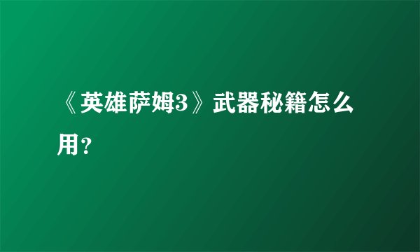 《英雄萨姆3》武器秘籍怎么用？