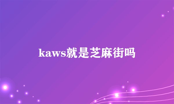 kaws就是芝麻街吗