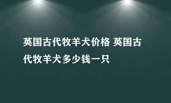 英国古代牧羊犬价格 英国古代牧羊犬多少钱一只