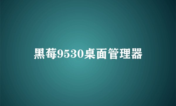 黑莓9530桌面管理器