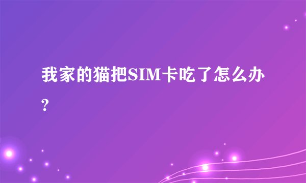 我家的猫把SIM卡吃了怎么办?