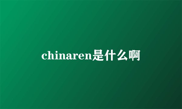 chinaren是什么啊