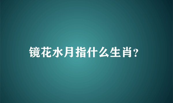 镜花水月指什么生肖？