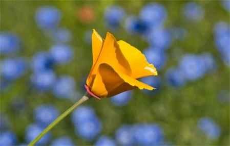 婆媳关系不好却要住在一起怎么办三点告诉你