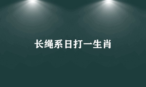 长绳系日打一生肖
