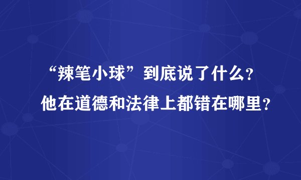 “辣笔小球”到底说了什么？他在道德和法律上都错在哪里？