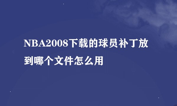 NBA2008下载的球员补丁放到哪个文件怎么用