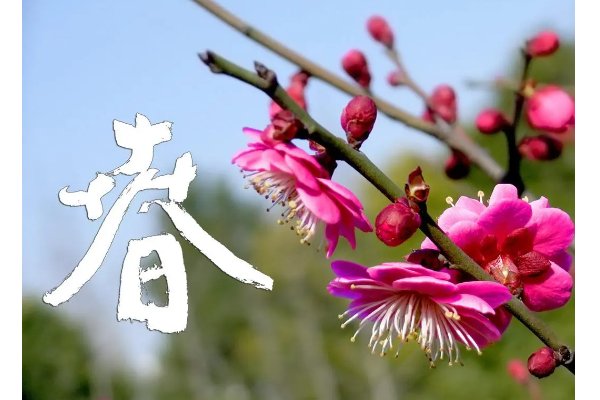 春色破晓什么意思啊