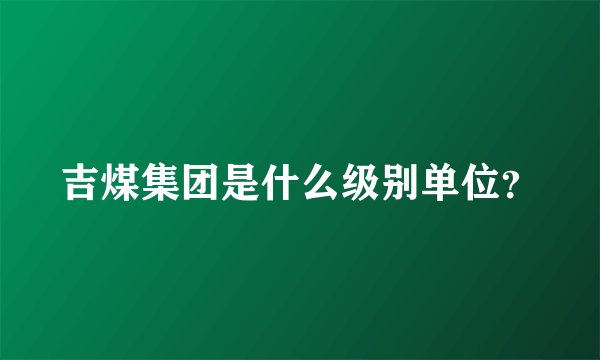 吉煤集团是什么级别单位？