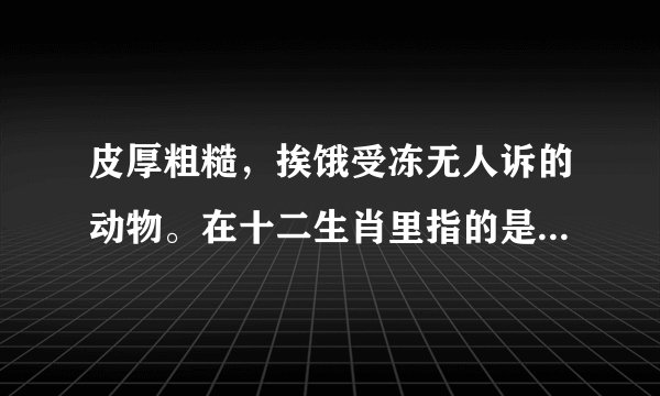 皮厚粗糙，挨饿受冻无人诉的动物。在十二生肖里指的是哪个生肖？