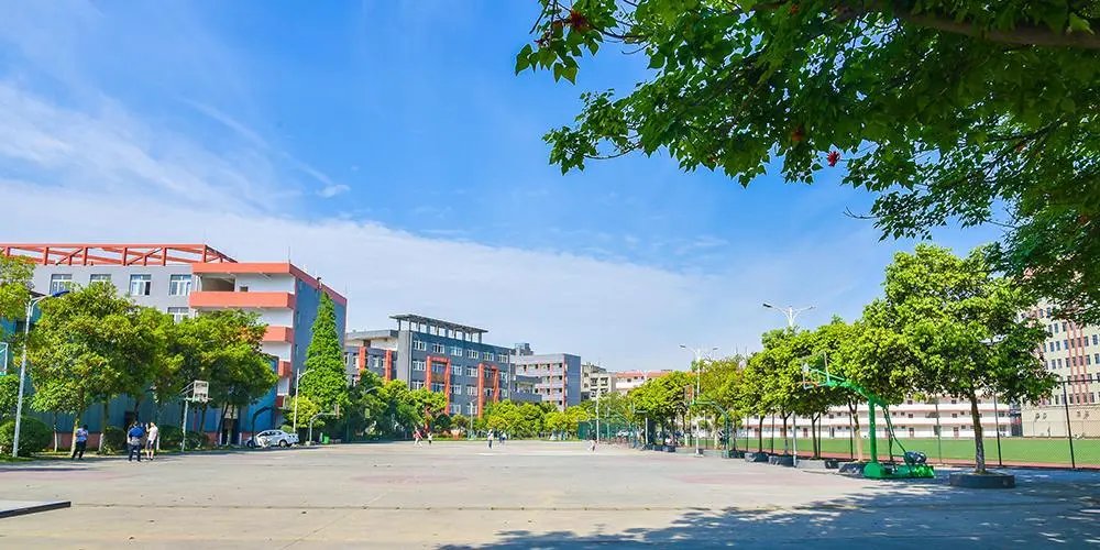 青岛大学专科录取分数线是多少啊？