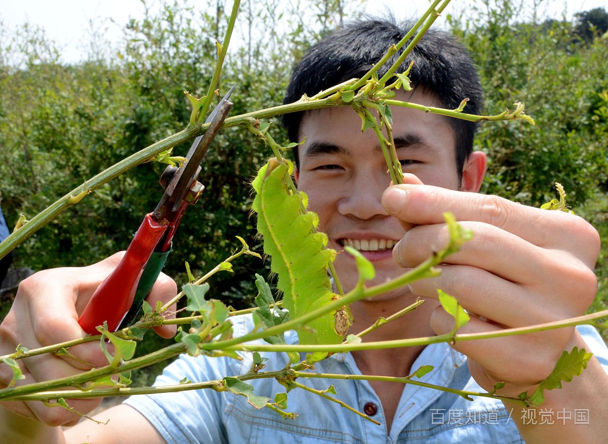 什么是大学生？