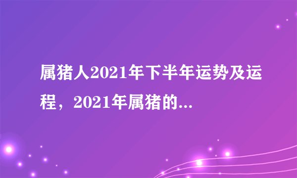 属猪人2021年下半年运势及运程，2021年属猪的全年运程