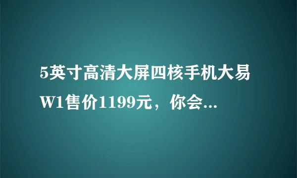 5英寸高清大屏四核手机大易W1售价1199元，你会考虑购买吗？