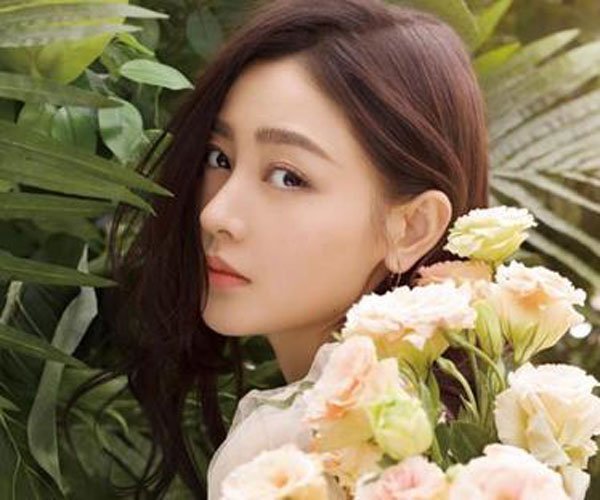 许文志名下的公司 张天爱的金主果然实力非凡