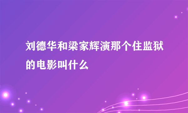 刘德华和梁家辉演那个住监狱的电影叫什么